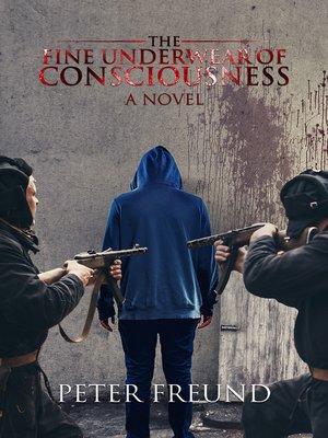 cover image of The Fine Underwear of Consciousness